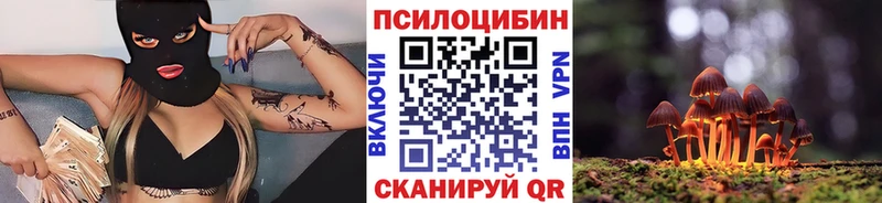 где купить наркотик  Первомайск  Псилоцибиновые грибы Psilocybe 